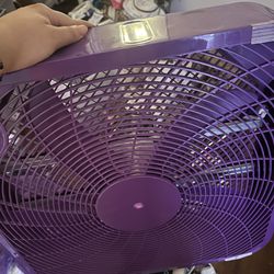 purple fan
