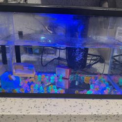 Glass Aquarium
