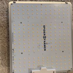 Spider Farm Grow light 