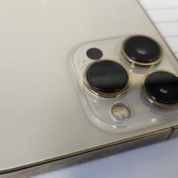 The 14 Pro Max 