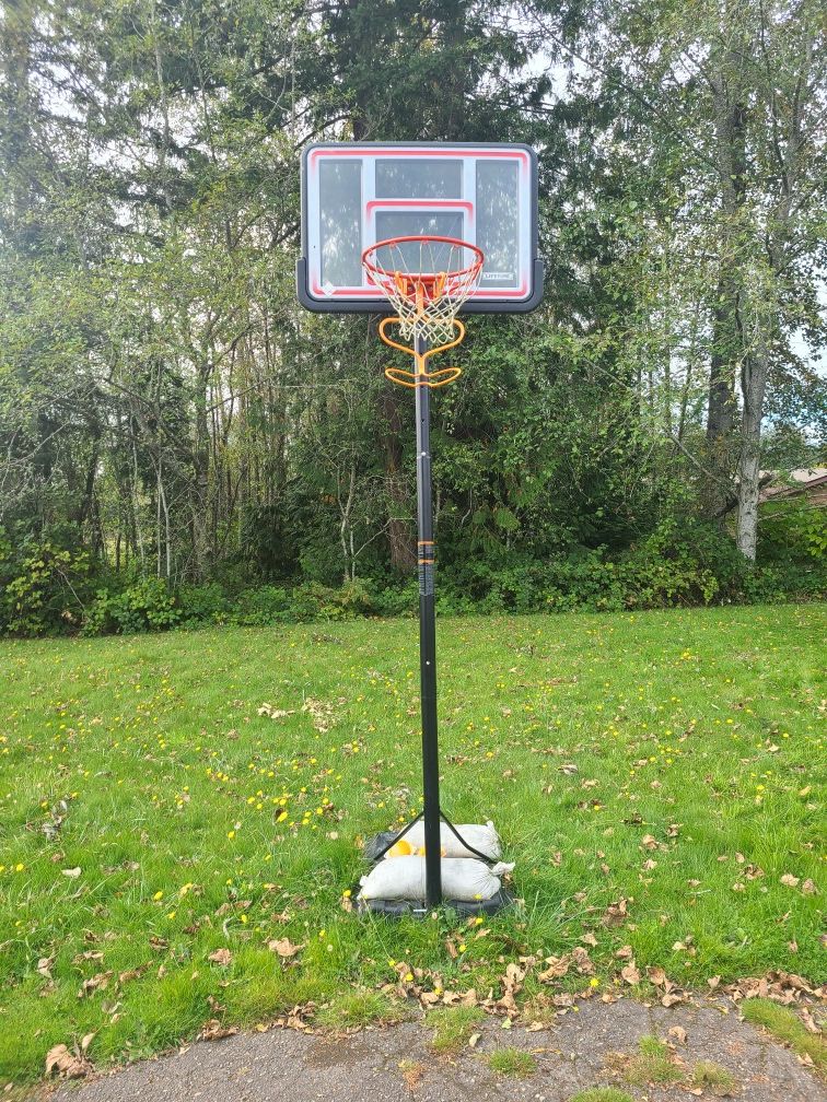 $60 Basketball hoop