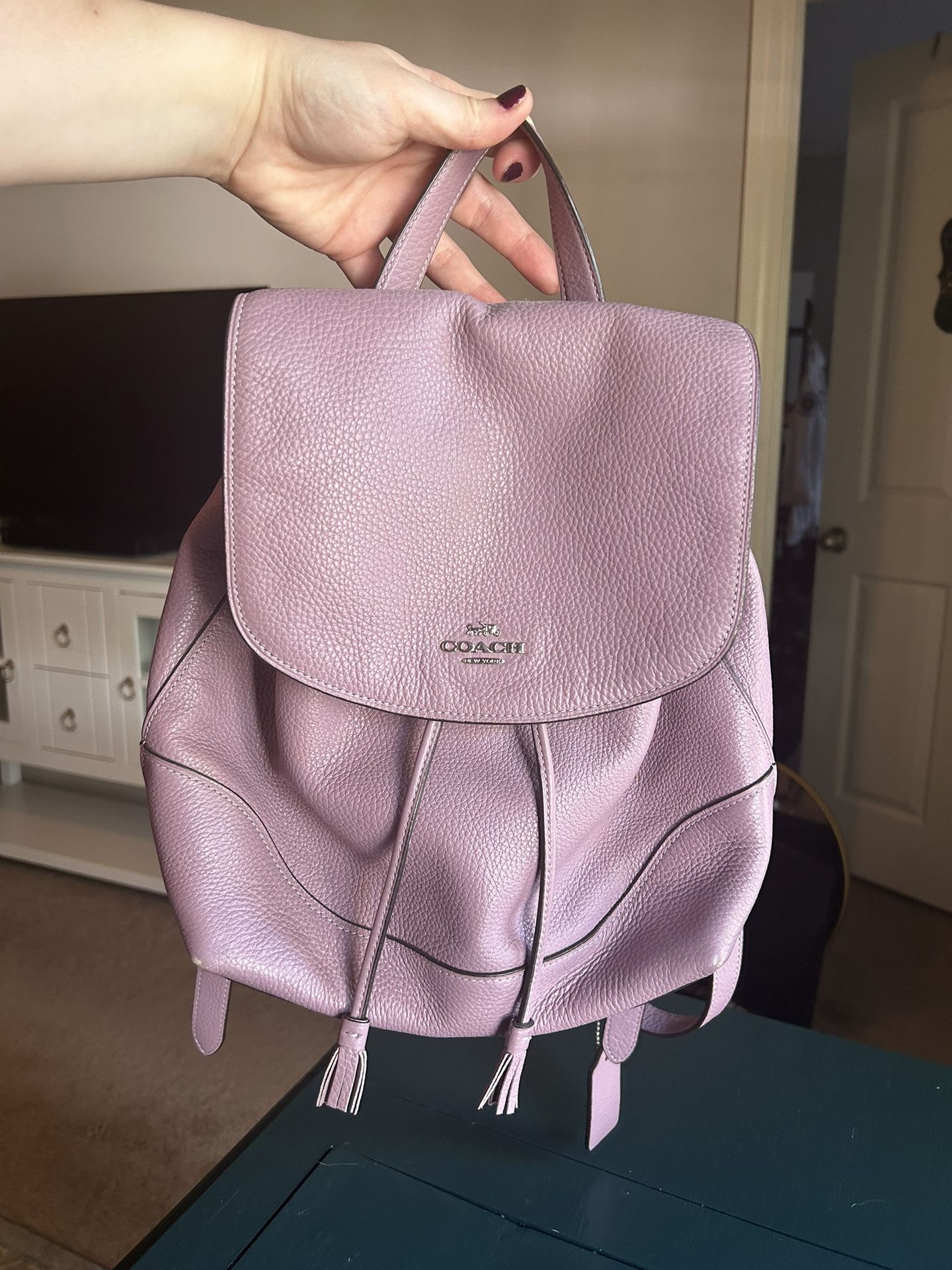 Purple Leather Coach Purse