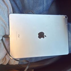 iPad Pro Wi-Fi + Cellular