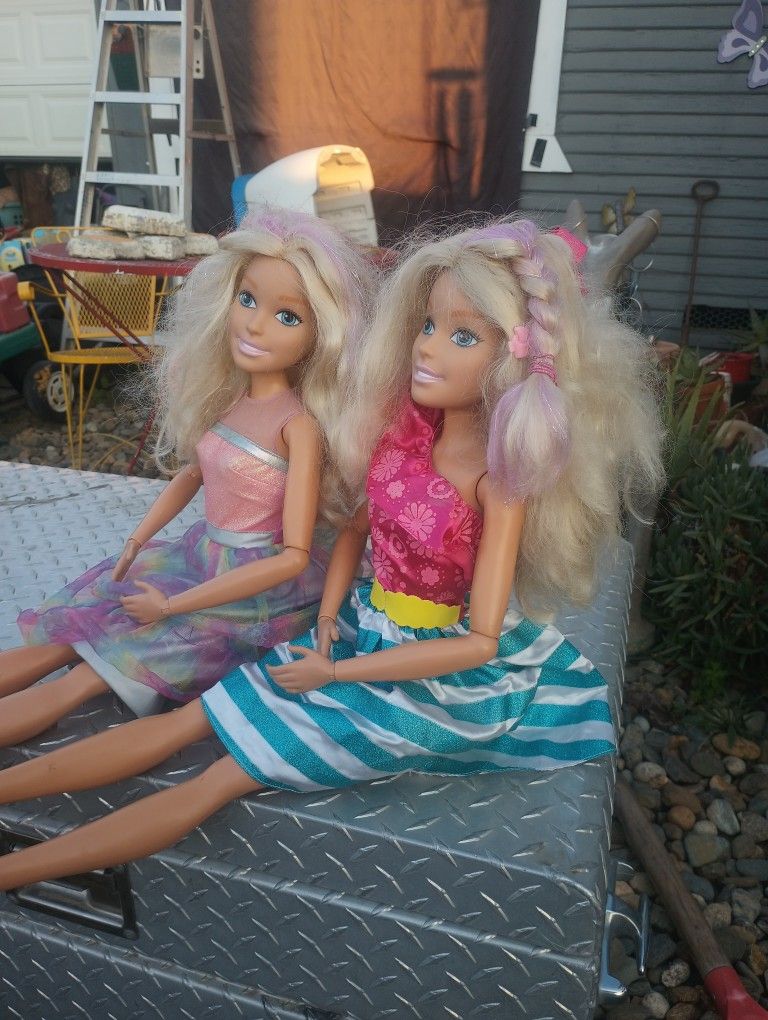 27 In. Barbies