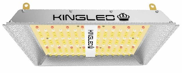 KingLED LED Lights 600 W