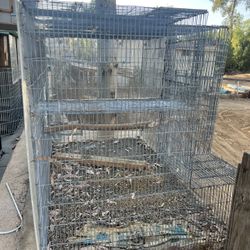 Bird cage 