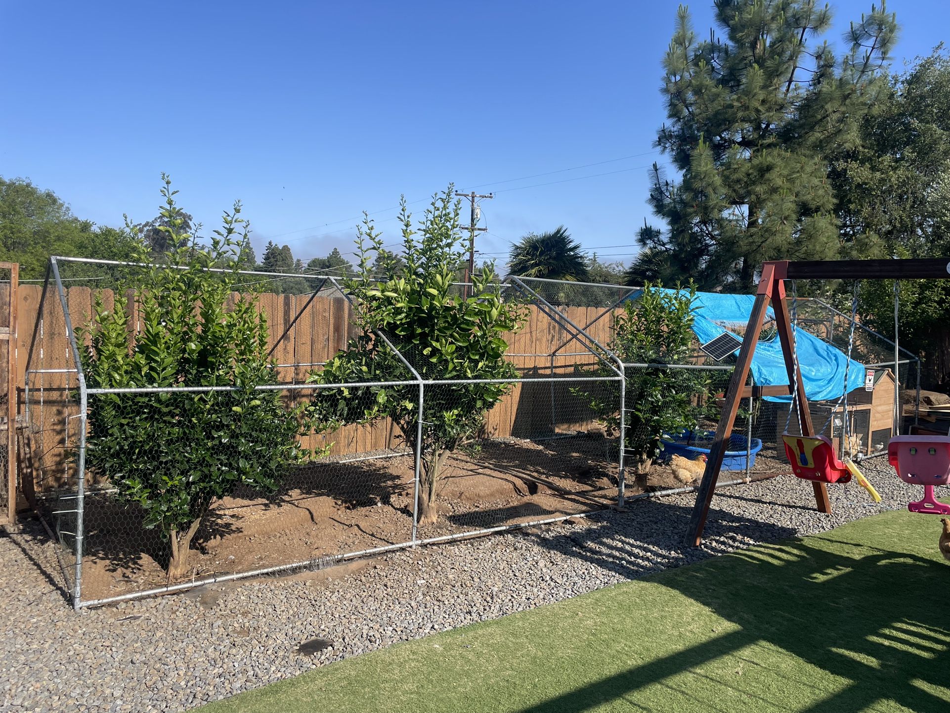 Chicken Coop Extensions (two Of Them)