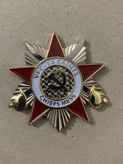 Vintage medal and eagle pin