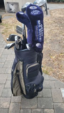 Golf club set