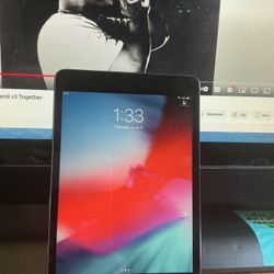 iPad Mini Model 1489