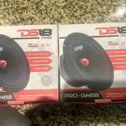 DS18 Pro-GM6B ((It’s For 2 Speakers))
