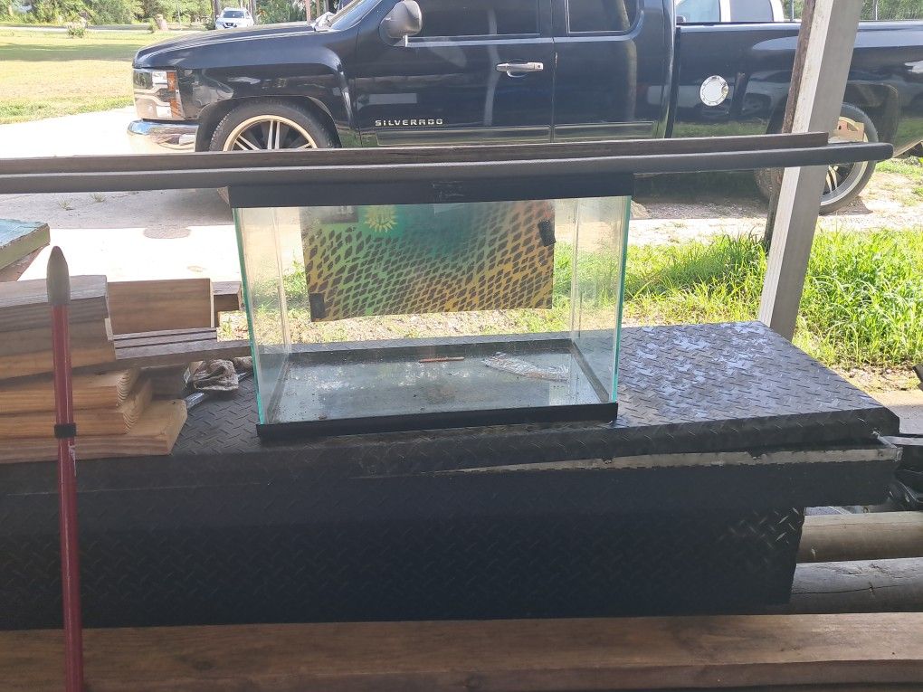 Small Aquarium