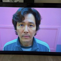 Vizio E48-D0 48” Full HD Smart TV – Excellent Condition