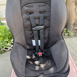 Car seat ( Evenflo ) 