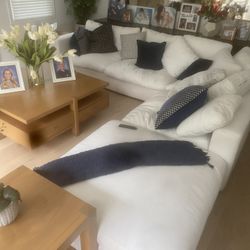 Beautiful Living Room Couch 