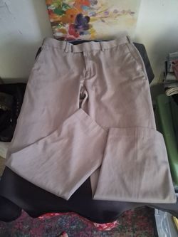 Dress pants