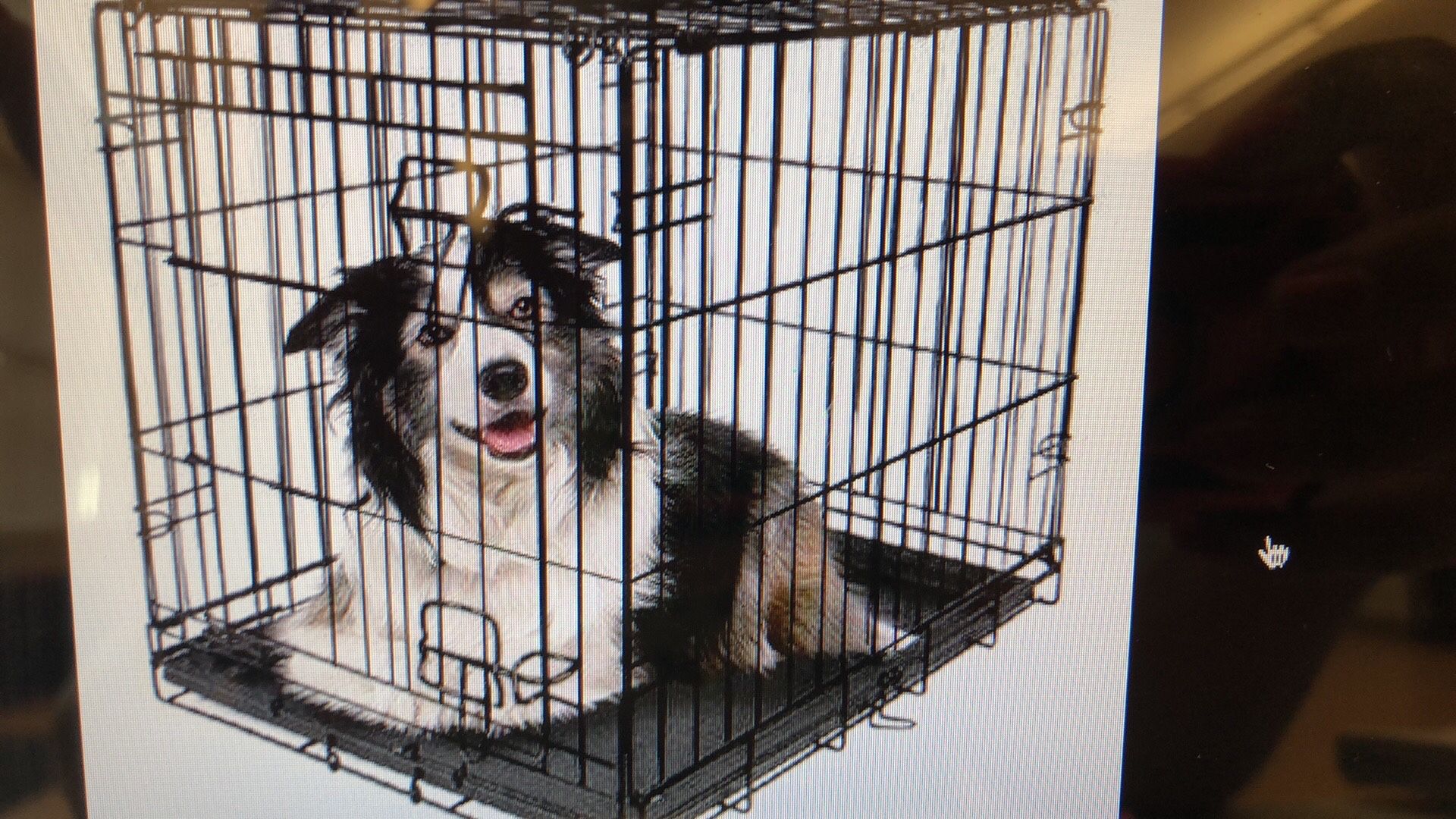 New 42 inch dog kennel