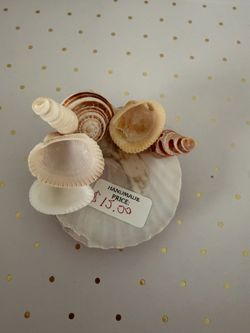 Handmade seashell craft!