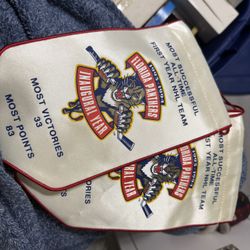 Florida Panthers Bulk Of Collectibles 
