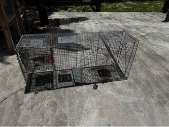 Large animal trap