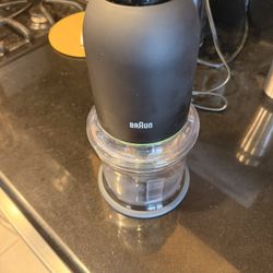 Barun EasyPrep Mini Food Processor, 4 Cup