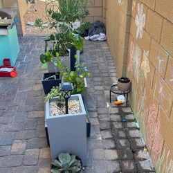 Lechuza Planters With plants