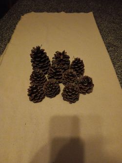Decorative Pinecones