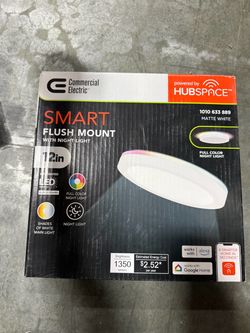SMART FLUSH MOUNT WITH NIGHT LIGHT