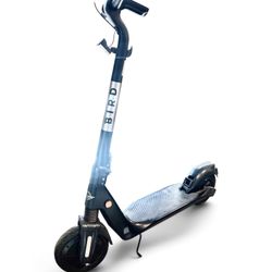 Bird Electric Scooter 