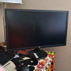 24 “ Hp Computer Monitor 