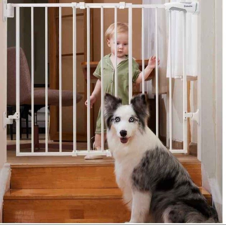 BABELIO Gate