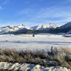 Snowboard/Ski Waxing