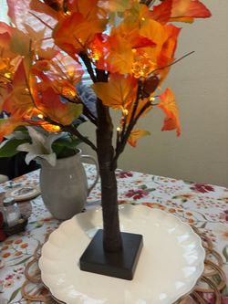 Maple tree