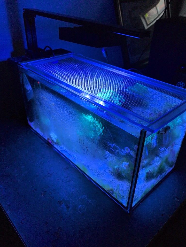 Free Tank For A salt Lover.