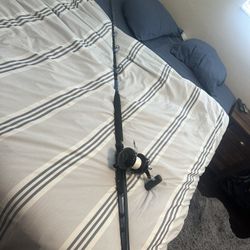 Avet 30w On Blackfin Custom with Winthrop Terminator But