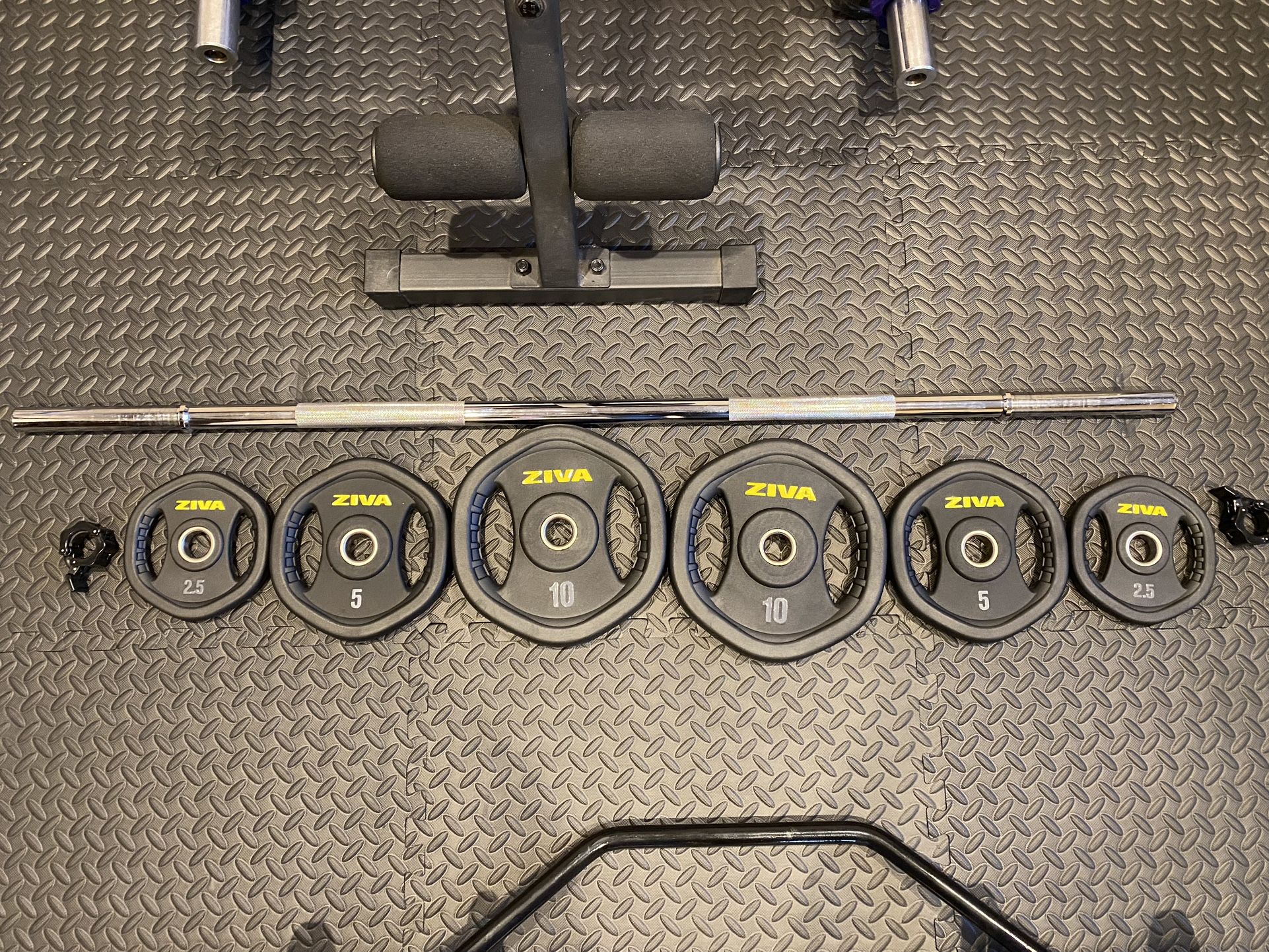 Ziva Barbell Weight Set