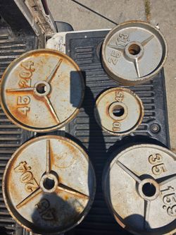 230 pounds olympic plates