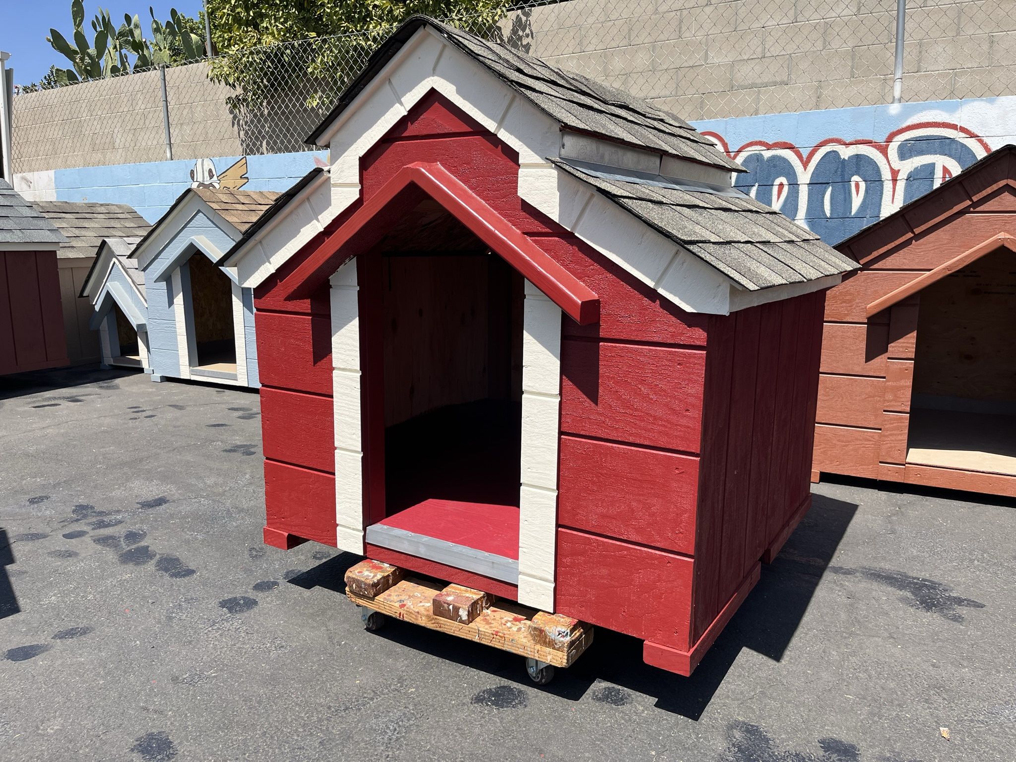 Dog Shelter, Dog House Start At ;