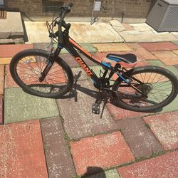 2018 Giant XTC JR 24 Lite Kids Young Adult Mountain Bike 7-Speed
