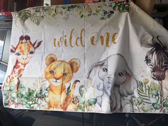 Backdrop
