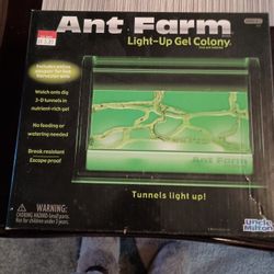 Ant Farm