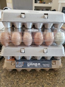 Farm Fresh Eggs