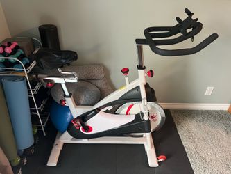 Sunny Exercise Bike