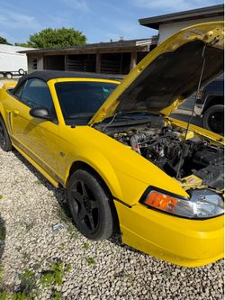 2000 Ford Mustang