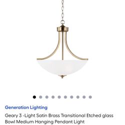 Hanging Pendant Light $100