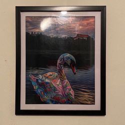 Swan cover in graffiti custom art piece on black frame