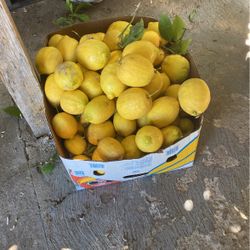 Lemons