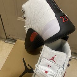 Jordan 12