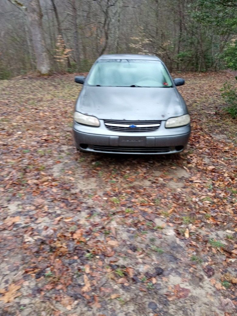 Chevy Malibu