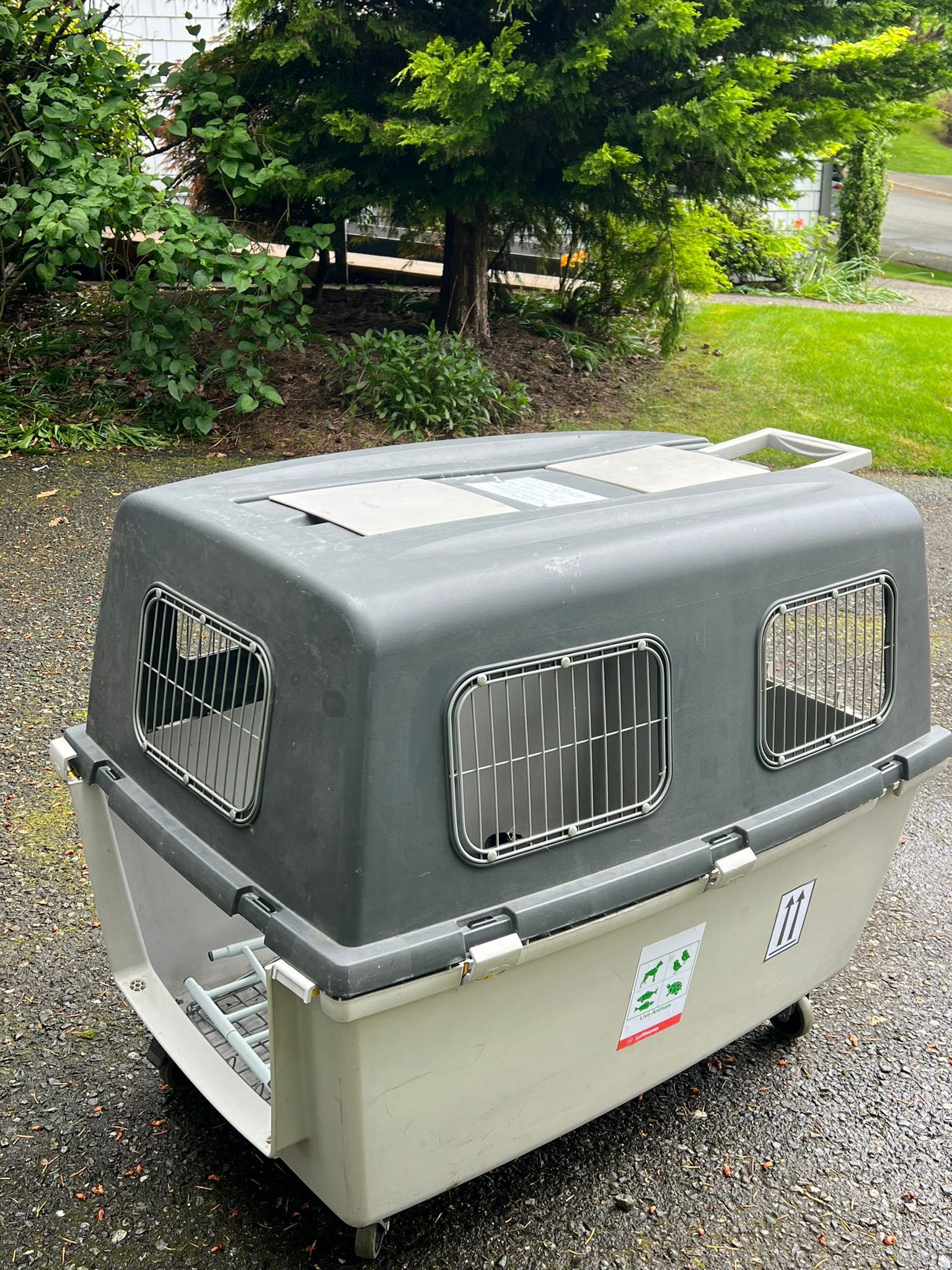 XXL dog carrier crate